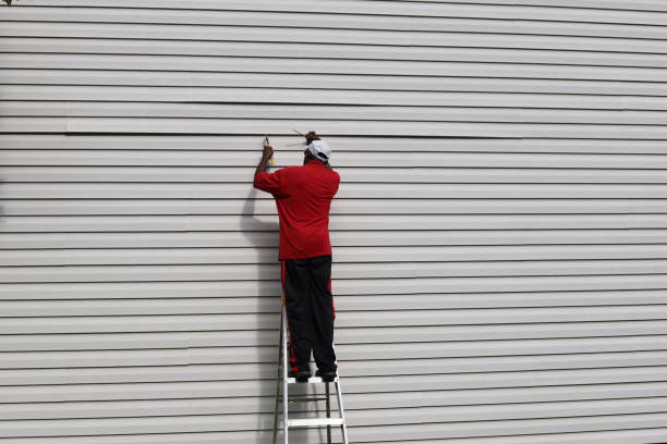 Best Brick Veneer Siding  in Snowflake, AZ