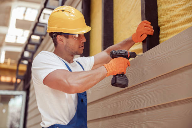 Best Siding Painting and Refinishing  in Snowflake, AZ