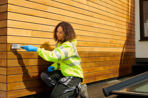 Best Siding for New Construction  in Snowflake, AZ