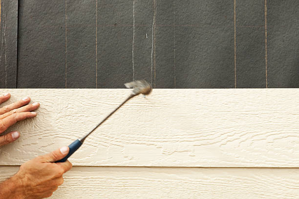 Best Stucco Siding  in Snowflake, AZ